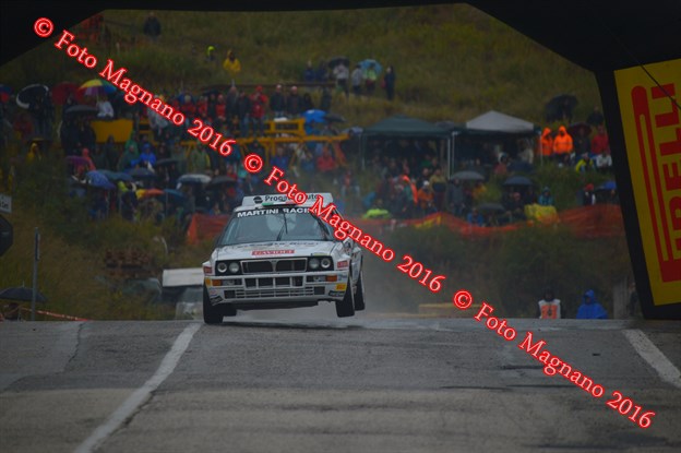 DSC_8736.JPG